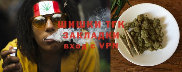 амф Богородск